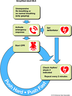 Simplified Adult BLS