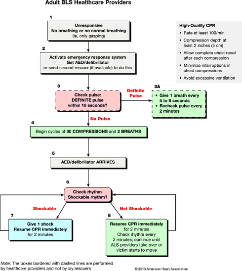 BLS Healthcare