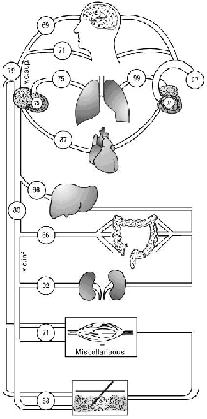 Normal Physiology 2