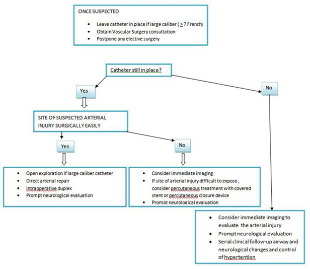 Proposed algorithm for cervical or thoracic arterial injury with a large-bore catheter